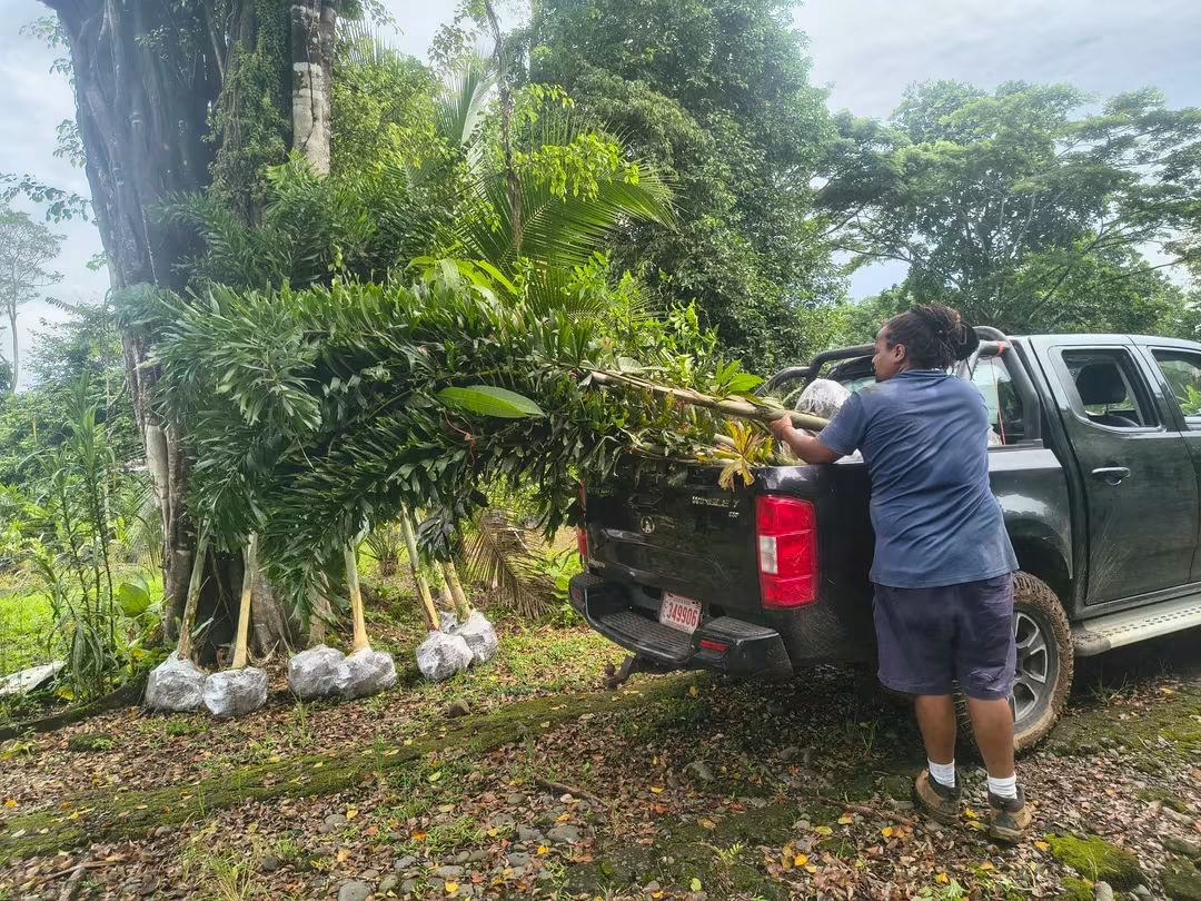Portada de Finca La Caribeña
