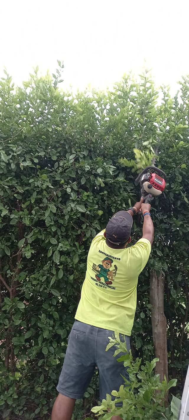 Trabajo de Mantenimiento de Jardines y Demas Proezas