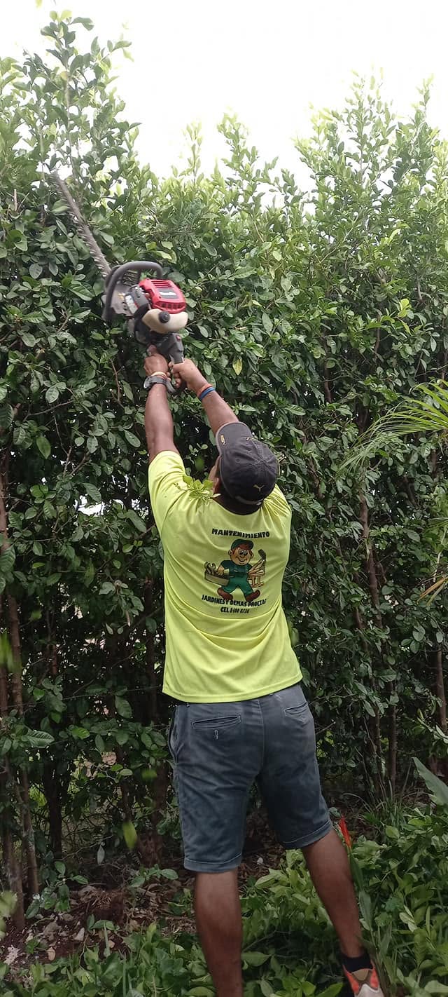 Trabajo de Mantenimiento de Jardines y Demas Proezas