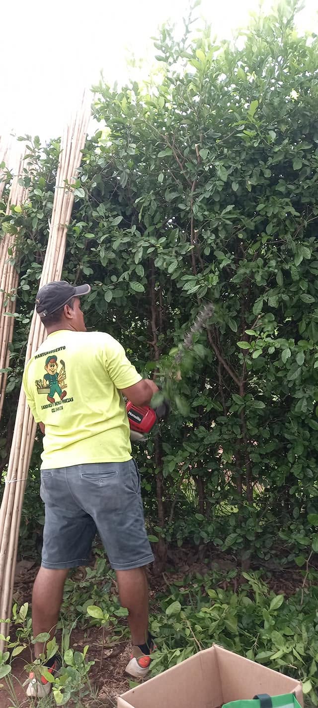 Trabajo de Mantenimiento de Jardines y Demas Proezas