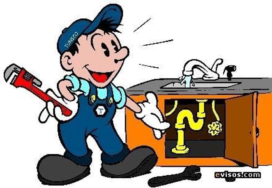 Logo de Todo en plomeria y mantenimiento Cañas